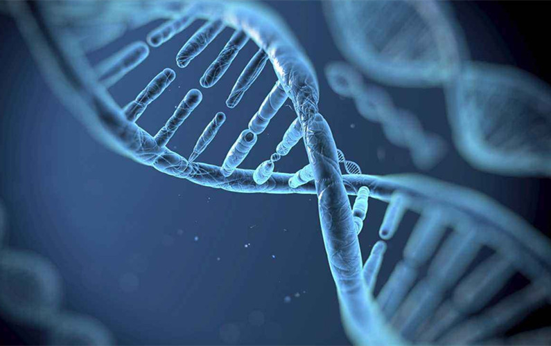北京绮心科技 基因科技引领生命健康新时代
