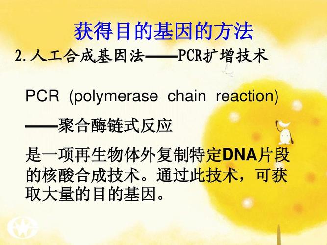 2 基因工程的基本操作程序